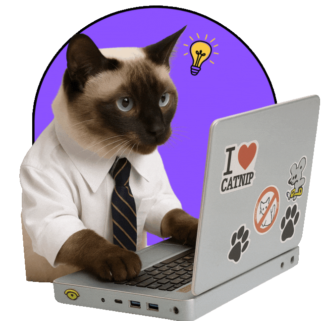 Cat with mission statement