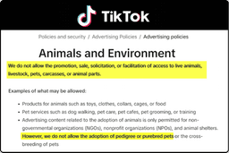 TikTok policy screenshot