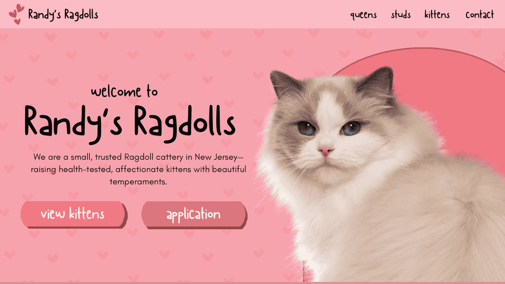 Modern, professional BreedBetter cattery website