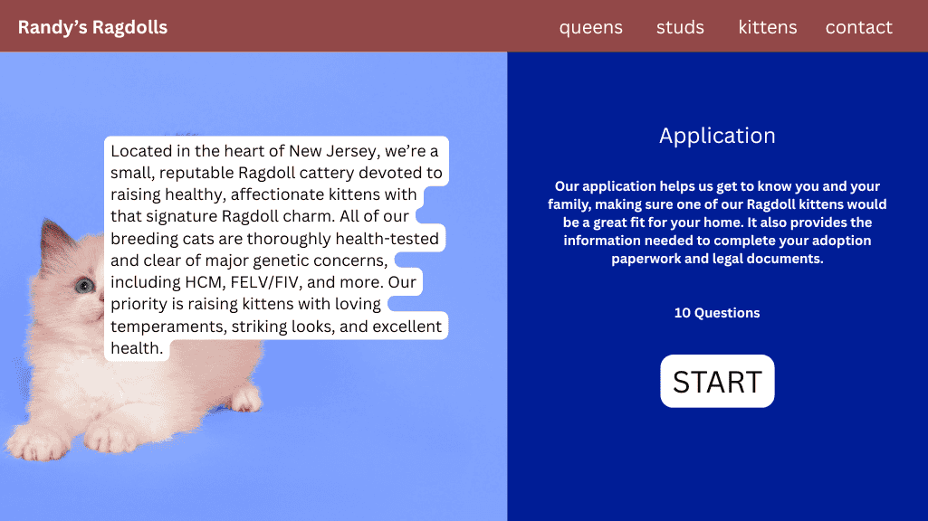 Typical outdated cattery website